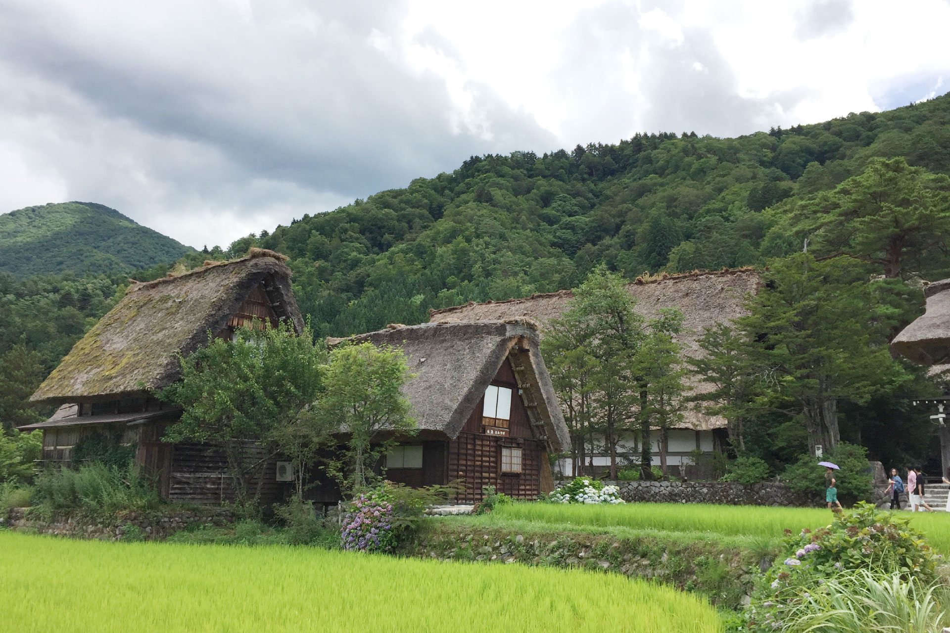 日本の伝統芸能