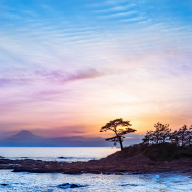 鎌倉・逗子・葉山